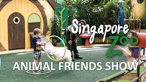 singapore zoo animal friends show